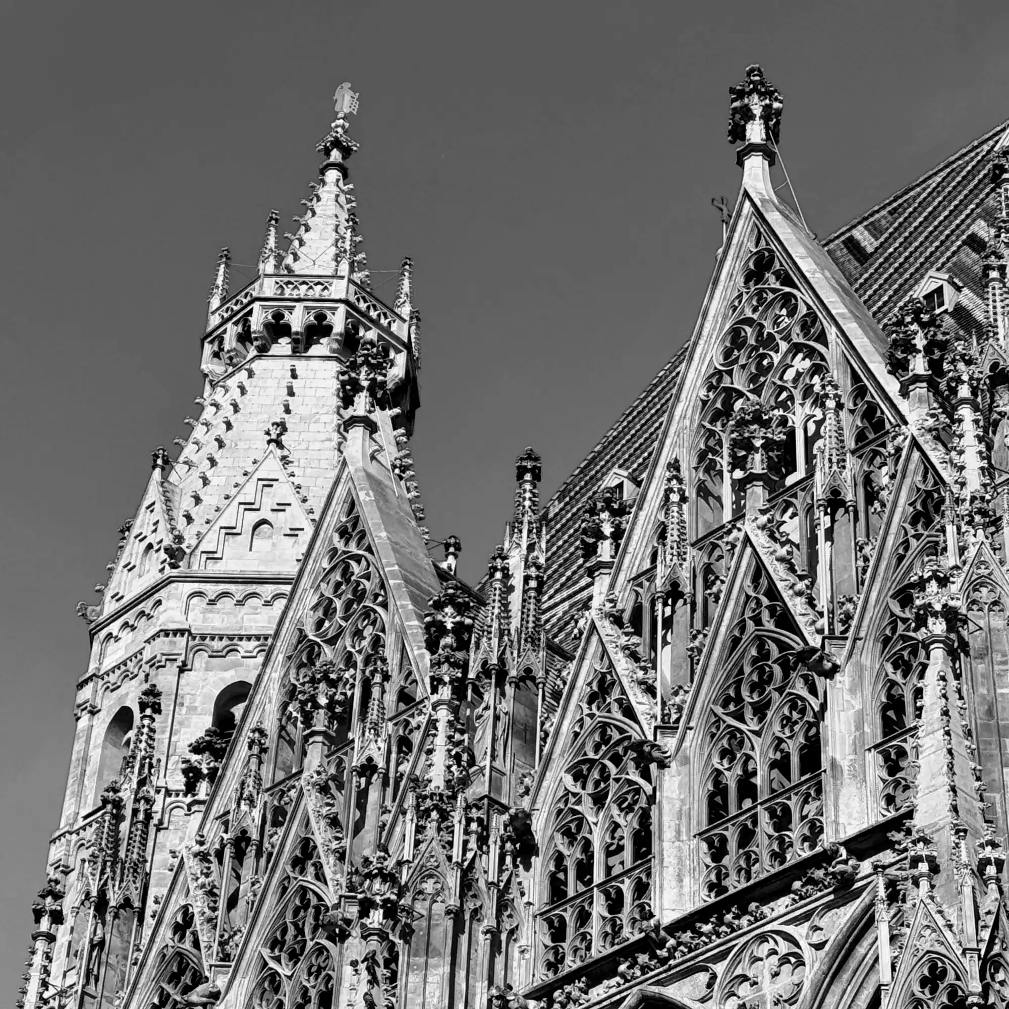 St. Stephen’s Cathedral 