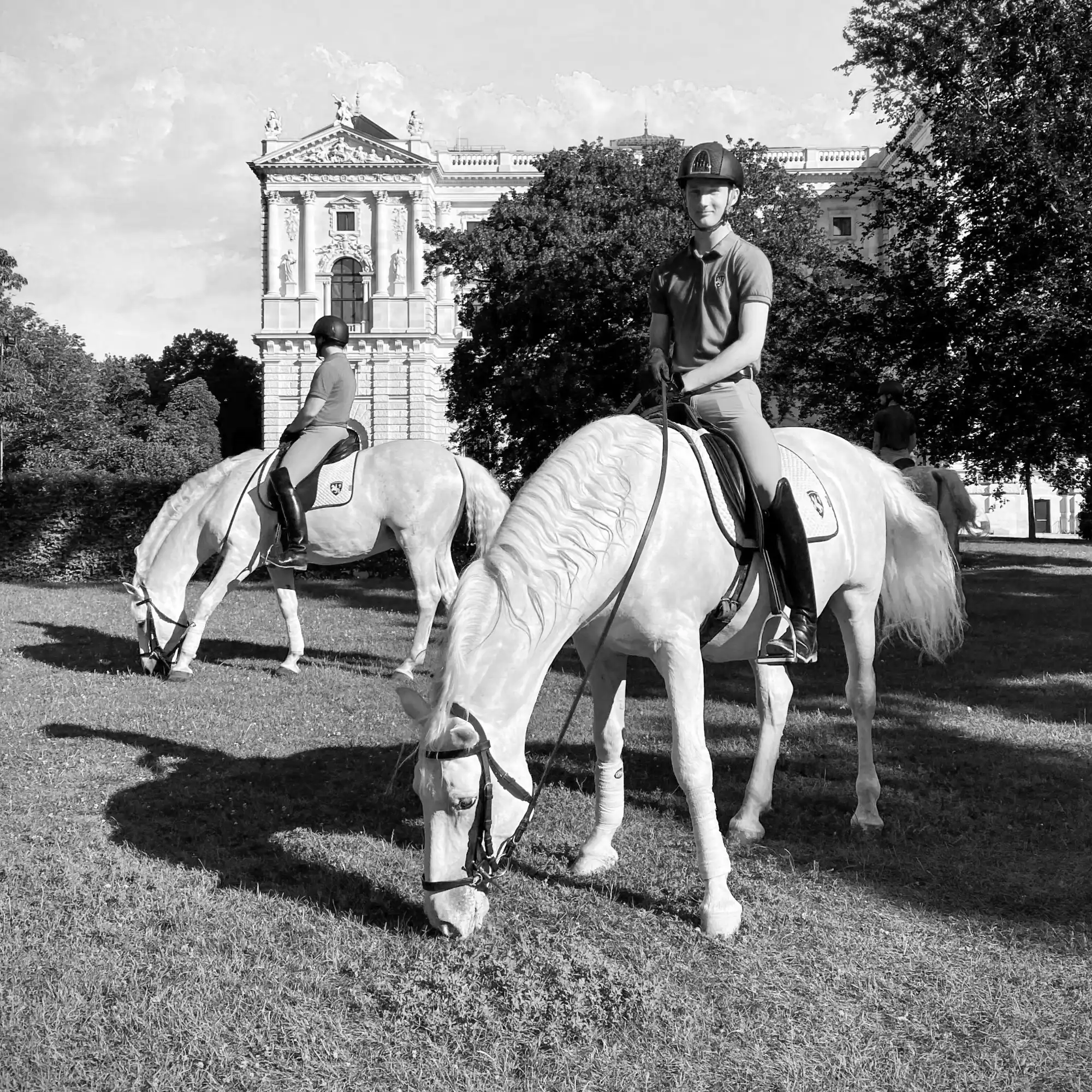 Riders on Lipizzan horses